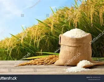 Rice - Shahi Dorbar